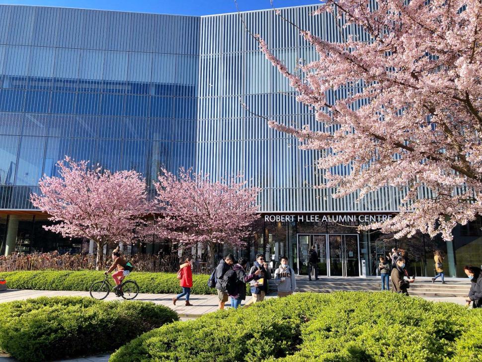 blossoms12_jiaojiaolu