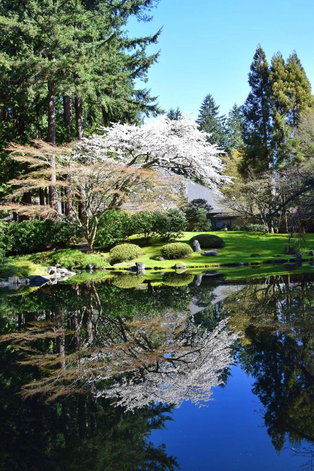 blossoms29_hong-trangnguyen