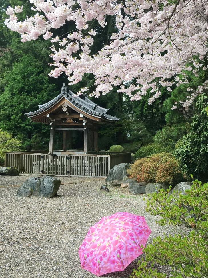 blossoms36_hong-trangnguyen