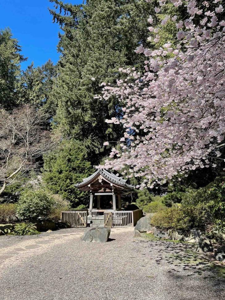 blossoms59_louiseharrison