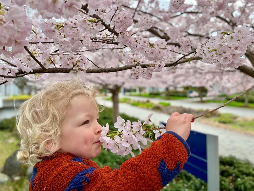 blossoms73_elizabethnolan