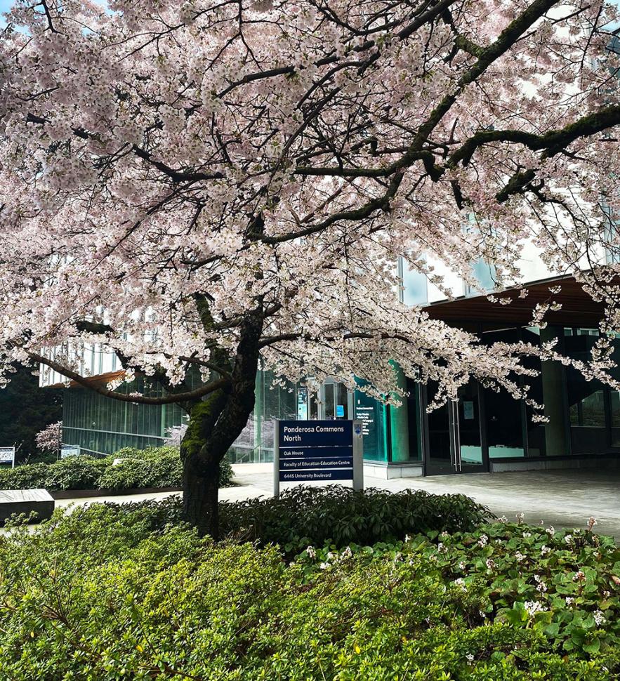 blossoms90_hazelchongoti