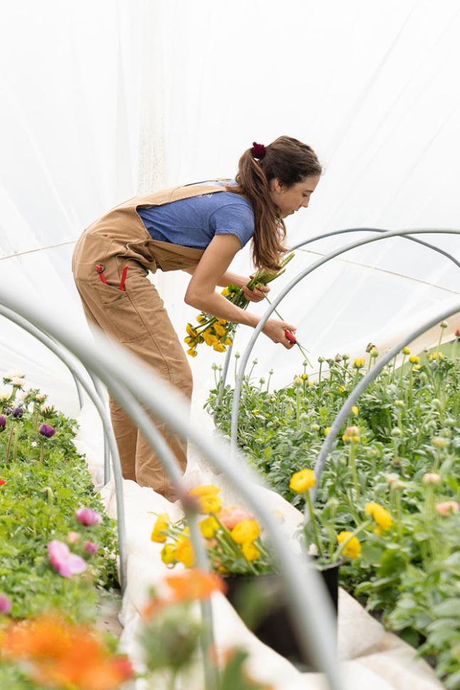 zoe-schaeffer-unsplash