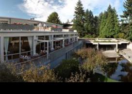 Peter Wall Institute for Advanced Studies