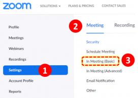 Screenshot of Zoom settings