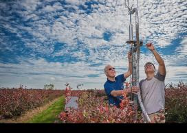Agricultural research