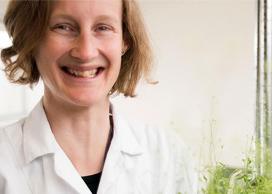 Green labs researcher