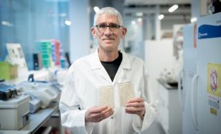 Dr. Corey Nislow and his team are sending yeast and algae into space aboard Artemis 1. Credit: Justin Ohata/UBC Pharmaceutical Sciences