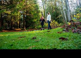 Sustainability leaders