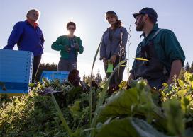 Partnership Recognition and Exploration Fund