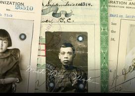 The Paper Trail project