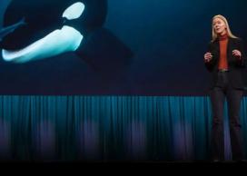 AI and the natural world