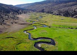 Wildfires transform rivers