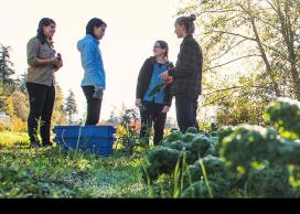 UBC Wellbeing Strategic Initiative Fund