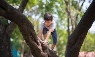Child playing outdoors